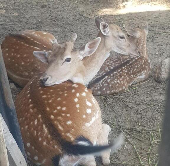 펜션 Wine Boutique Complex ,,hrisimov