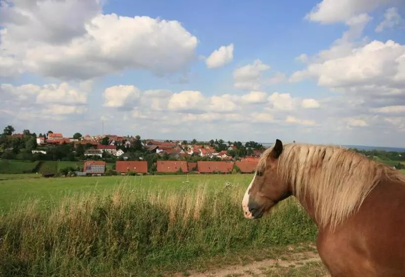 Retkeilymaja Hainich Zeit