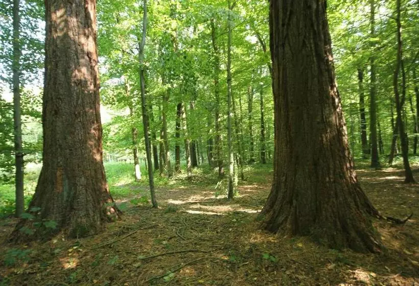 Retkeilymaja Hainich Zeit