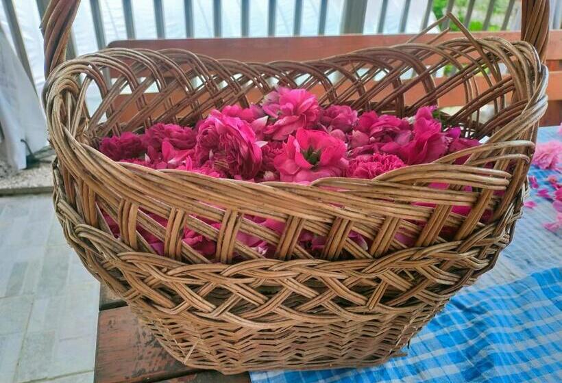 مبيت وإفطار Agritur Maso Flonkeri