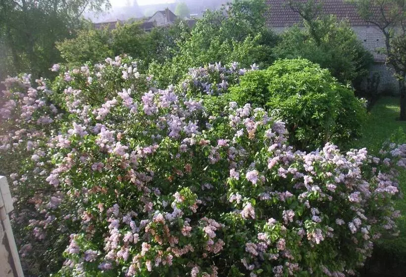 Aamiaismajoitus (B&B) Chez Zaza