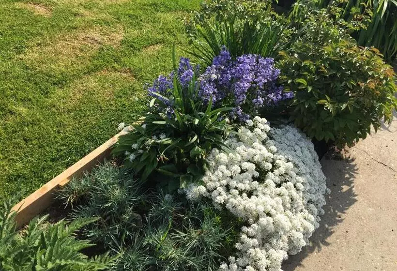 ベッドアンドブレックファースト Les Chambres De Paule