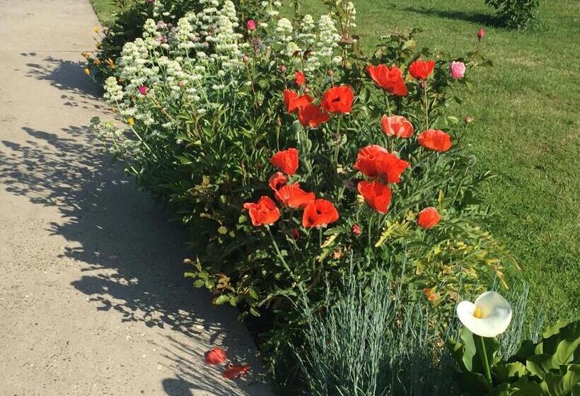 ベッドアンドブレックファースト Les Chambres De Paule