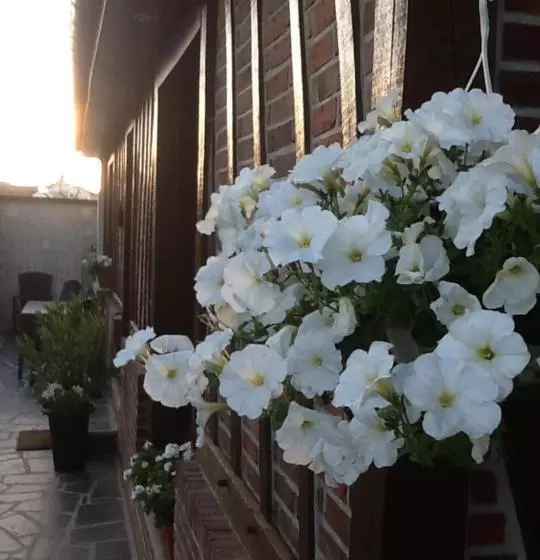 ベッドアンドブレックファースト Les Chambres De Paule