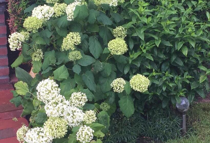 ベッドアンドブレックファースト Les Chambres De Paule