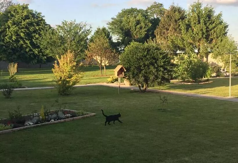 ベッドアンドブレックファースト Les Chambres De Paule