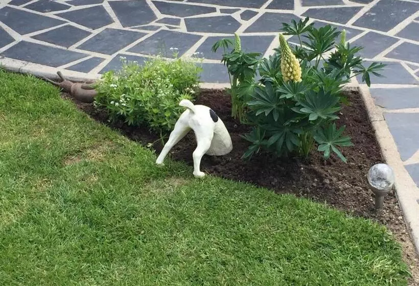 ベッドアンドブレックファースト Les Chambres De Paule