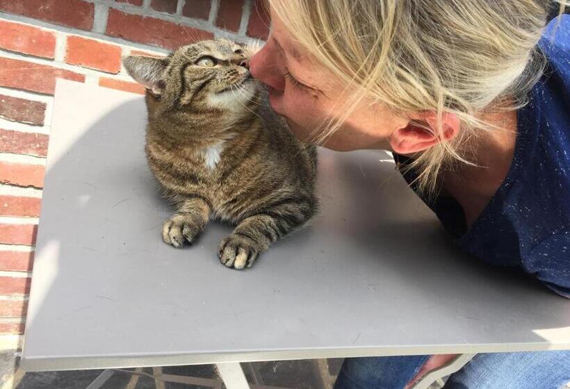 ベッドアンドブレックファースト Les Chambres De Paule