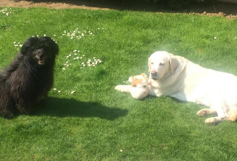 ベッドアンドブレックファースト Les Chambres De Paule