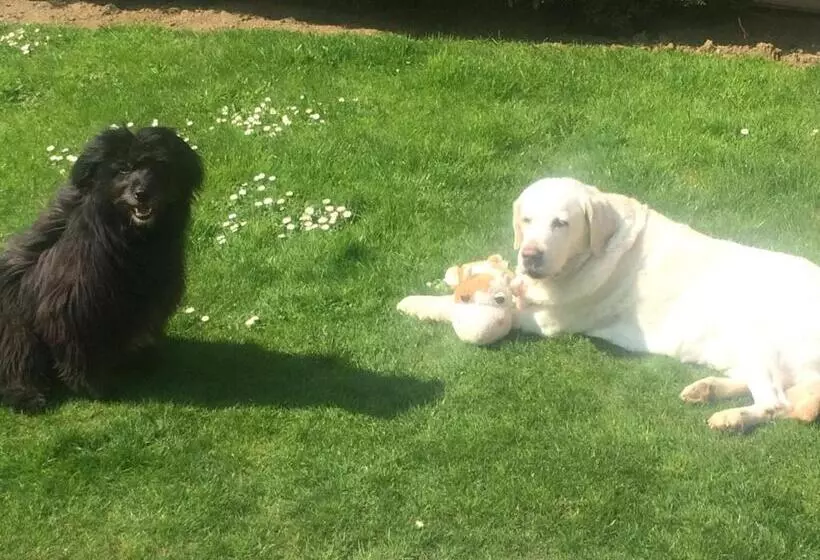 ベッドアンドブレックファースト Les Chambres De Paule