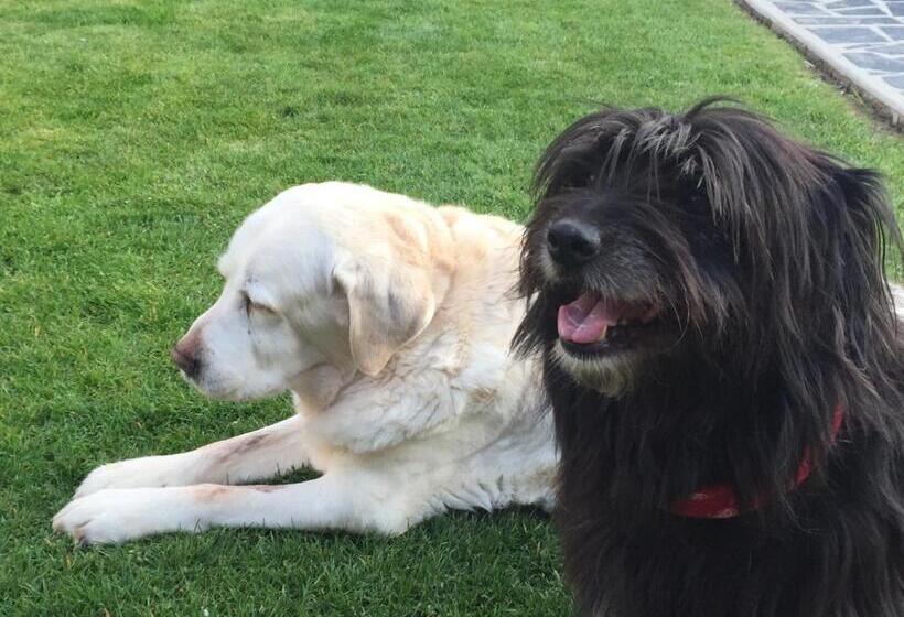 ベッドアンドブレックファースト Les Chambres De Paule