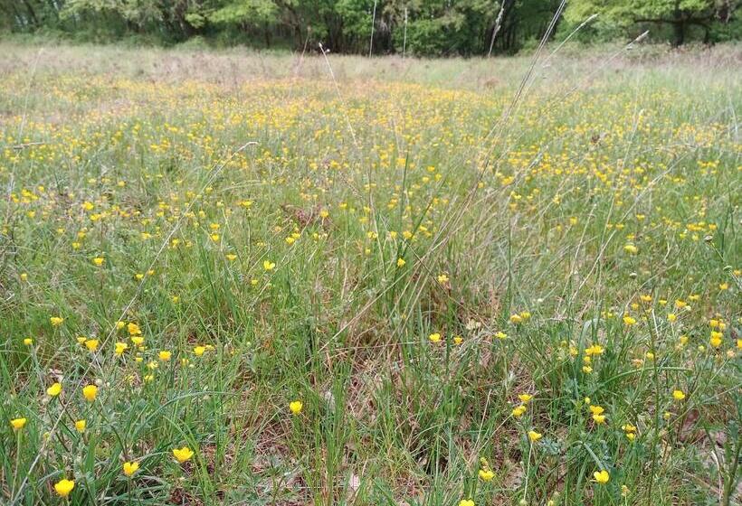 ベッドアンドブレックファースト Les Granges De L Abbaye