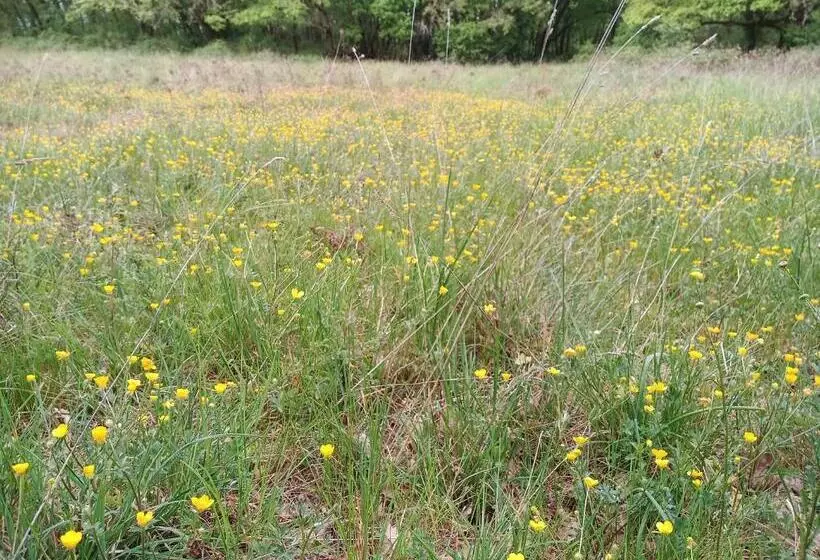Aamiaismajoitus (B&B) Les Granges De L Abbaye