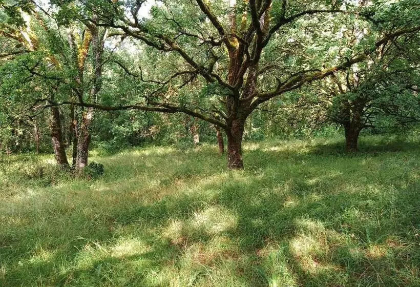 Aamiaismajoitus (B&B) Les Granges De L Abbaye