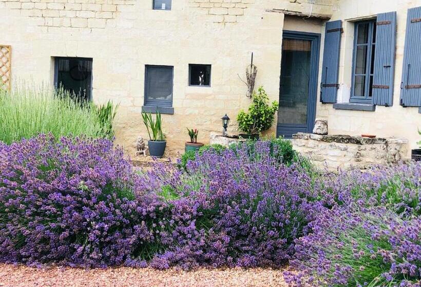 Bed and Breakfast Maison De Lavande