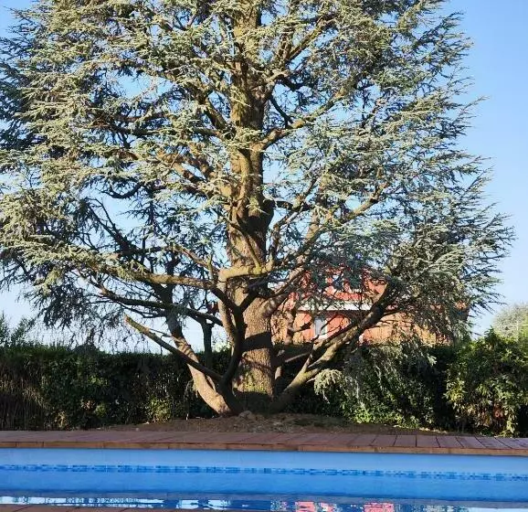 Aamiaismajoitus (B&B) Villa Cresto