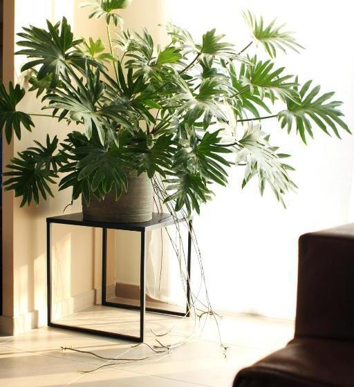 Clos De La Couturelle