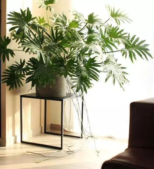 Clos De La Couturelle