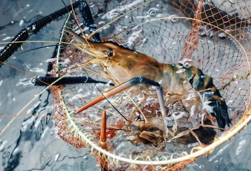 Jantara Resort And Restaurant