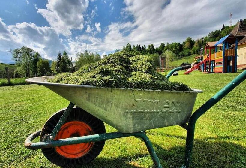 بنسيون Casa Petruta Dambovicioara