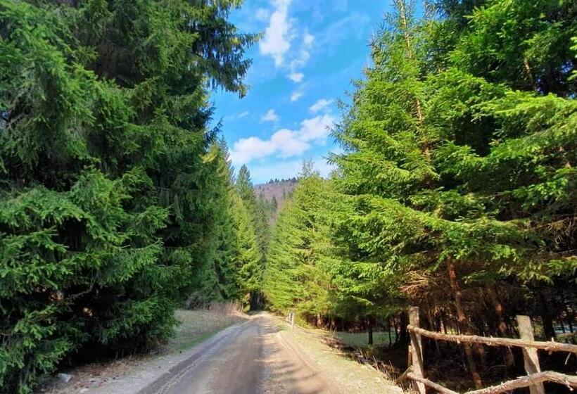 بنسيون Casa Petruta Dambovicioara