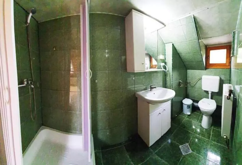 ペンション Casa Petruta Dambovicioara