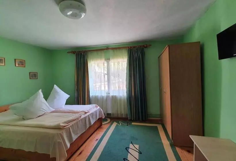 ペンション Casa Petruta Dambovicioara