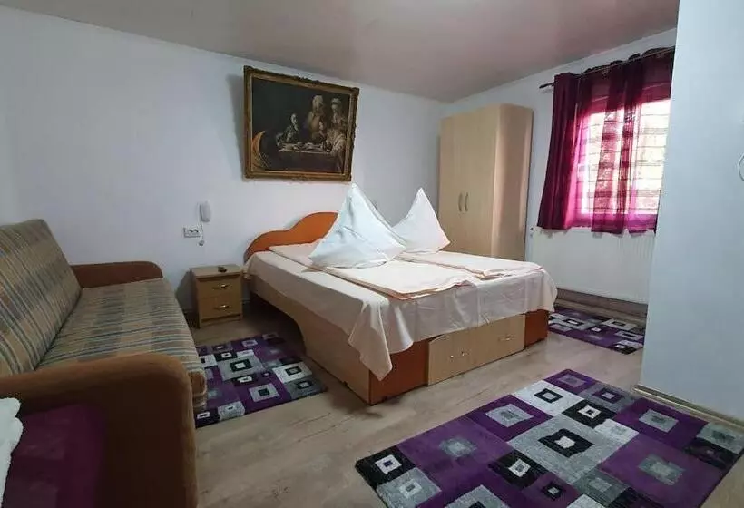 ペンション Casa Petruta Dambovicioara