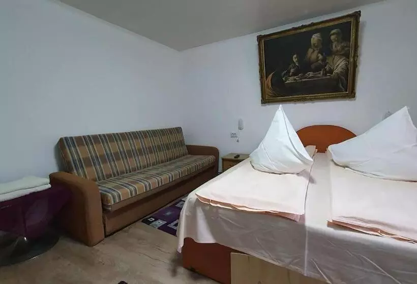 ペンション Casa Petruta Dambovicioara