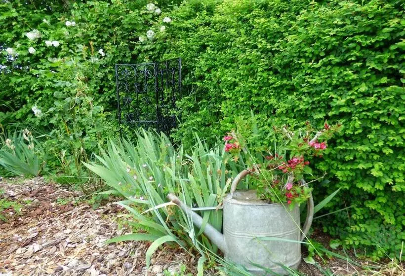 ペンション Chambres D Hôtes Les Muscaris