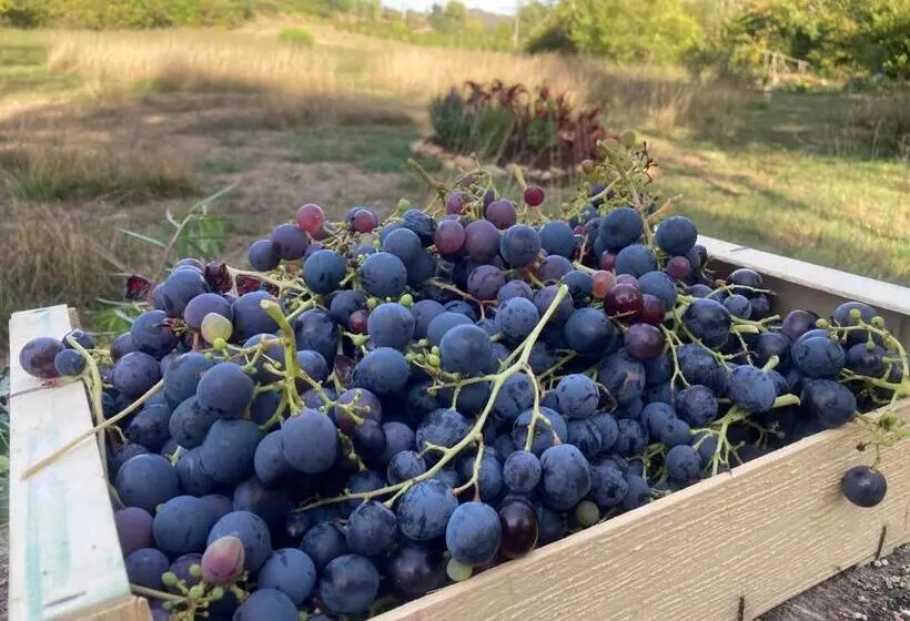 Majatalo Les Deux Chevaux Chambres D’hôtes
