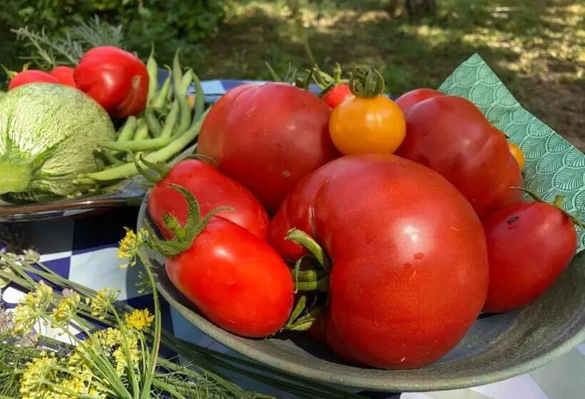 Majatalo Les Deux Chevaux Chambres D’hôtes