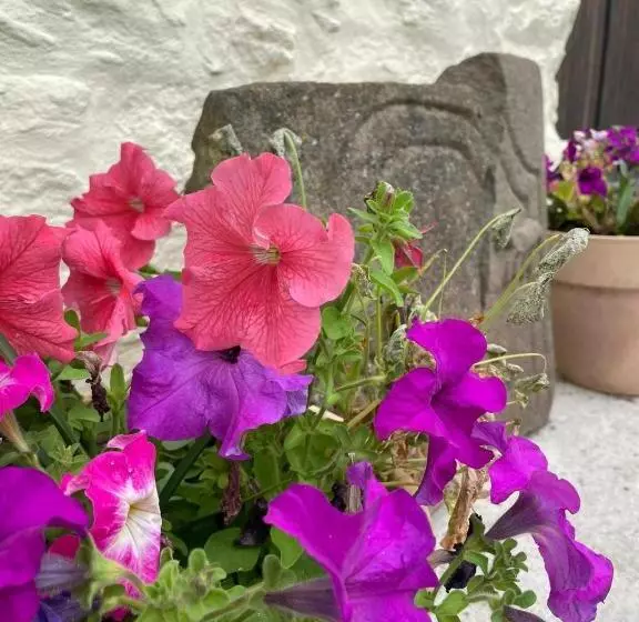 Majatalo Les Deux Chevaux Chambres D’hôtes