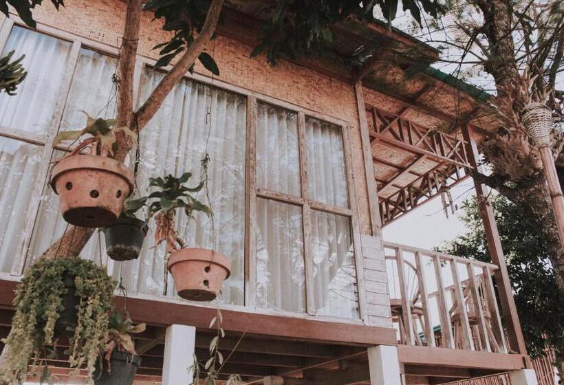 Пансион My House Guest House