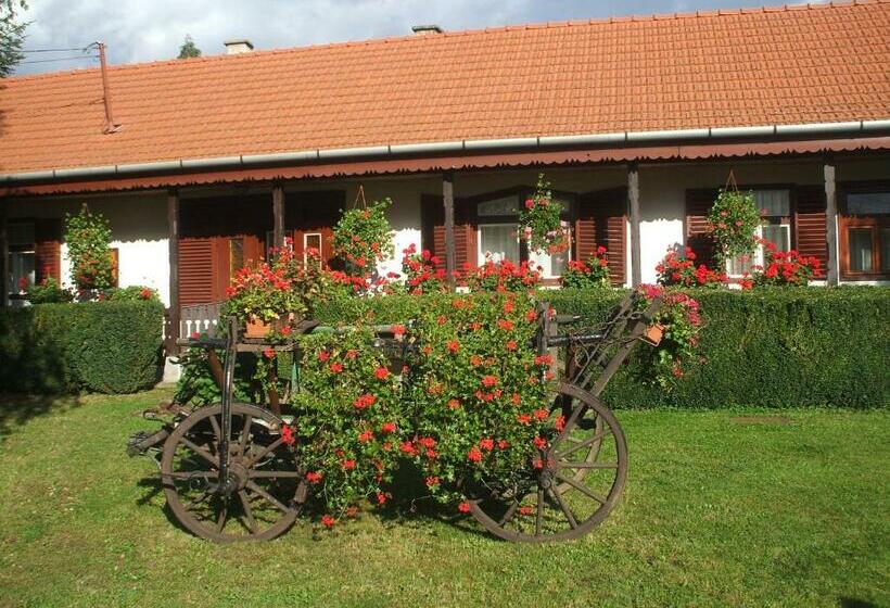 펜션 Simai Vendégház