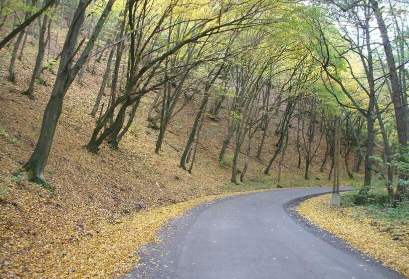 펜션 Simai Vendégház