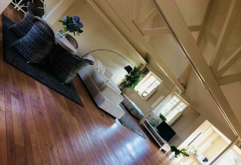 بنسيون The Loft