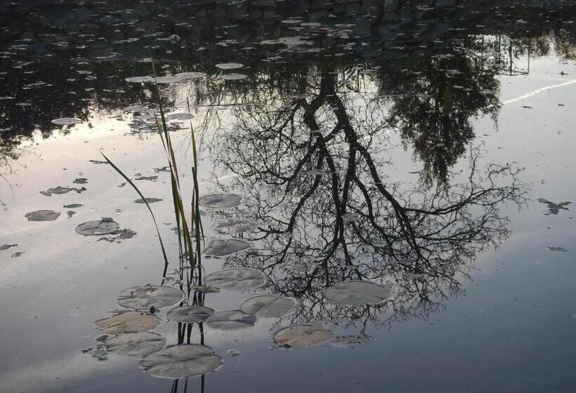 Pensió Villa Aromatique