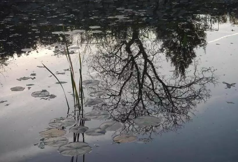 Majatalo Villa Aromatique