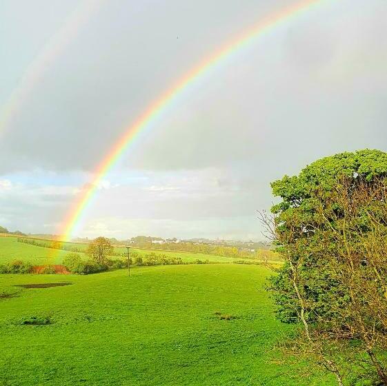 The Green Monkey Lux Suite At The Grumpy Schnauzer B&b Private Hot Tub, Gym, Breakfast, Stunning!