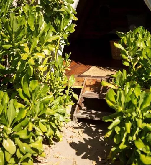 Retkeilymaja Porã Chacahua