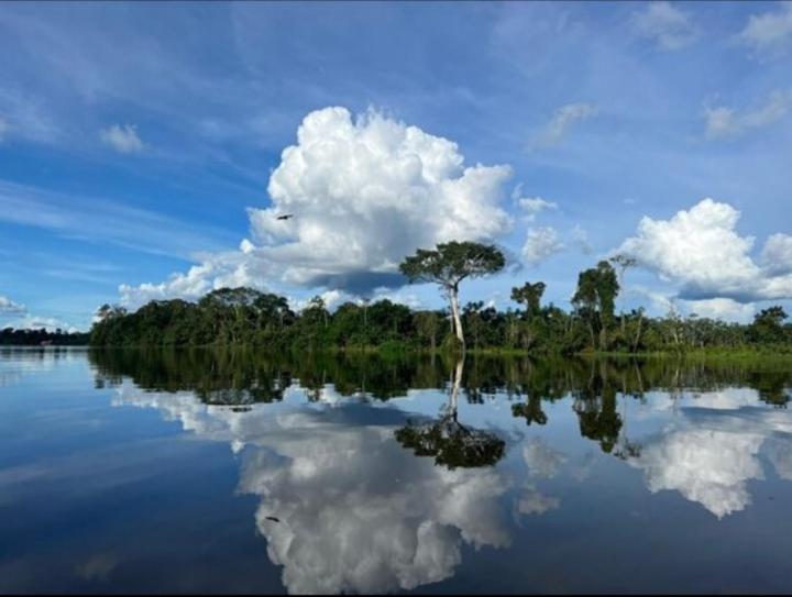 فندق Amazon Gero Tours