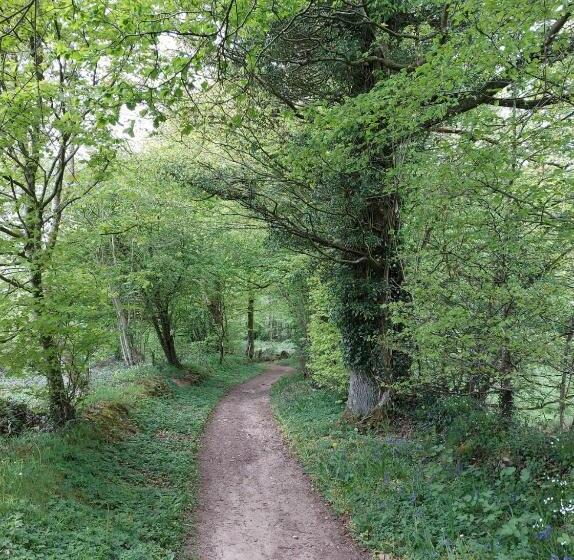 פנסיון Le Petit Bois Normand