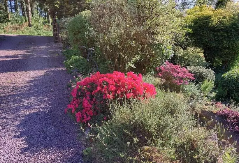 ペンション Le Petit Bois Normand