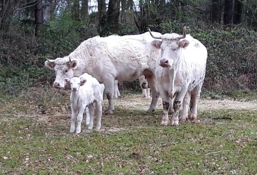 פנסיון Le Petit Bois Normand