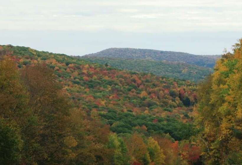 Otel Cold Spring Lodge