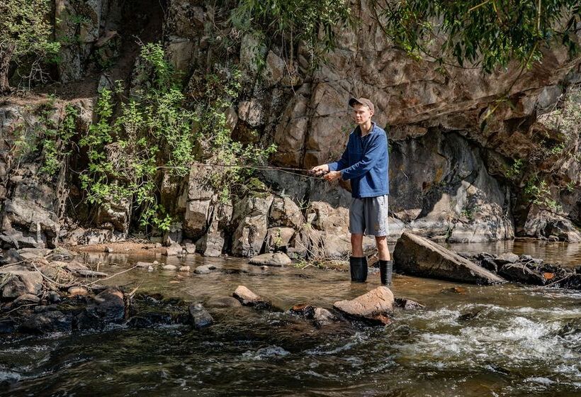 호텔 Colorado Bear Creek Cabins