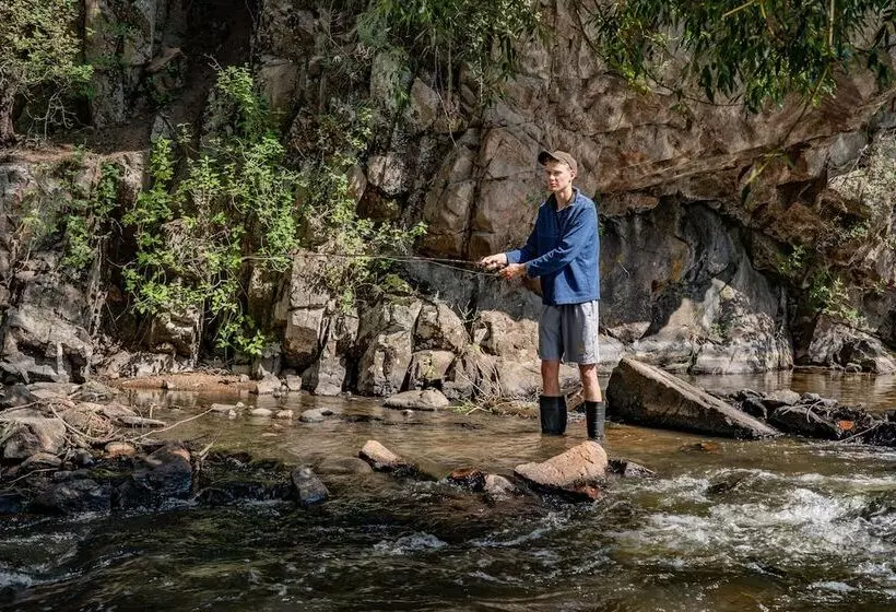 Hotelli Colorado Bear Creek Cabins