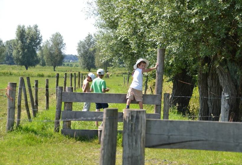 호텔 Huis Bij De Lieve Bed & Breakfast