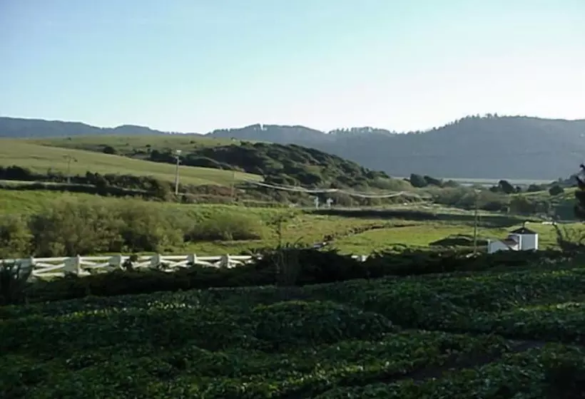 Hotelli Point Reyes Vineyard Inn